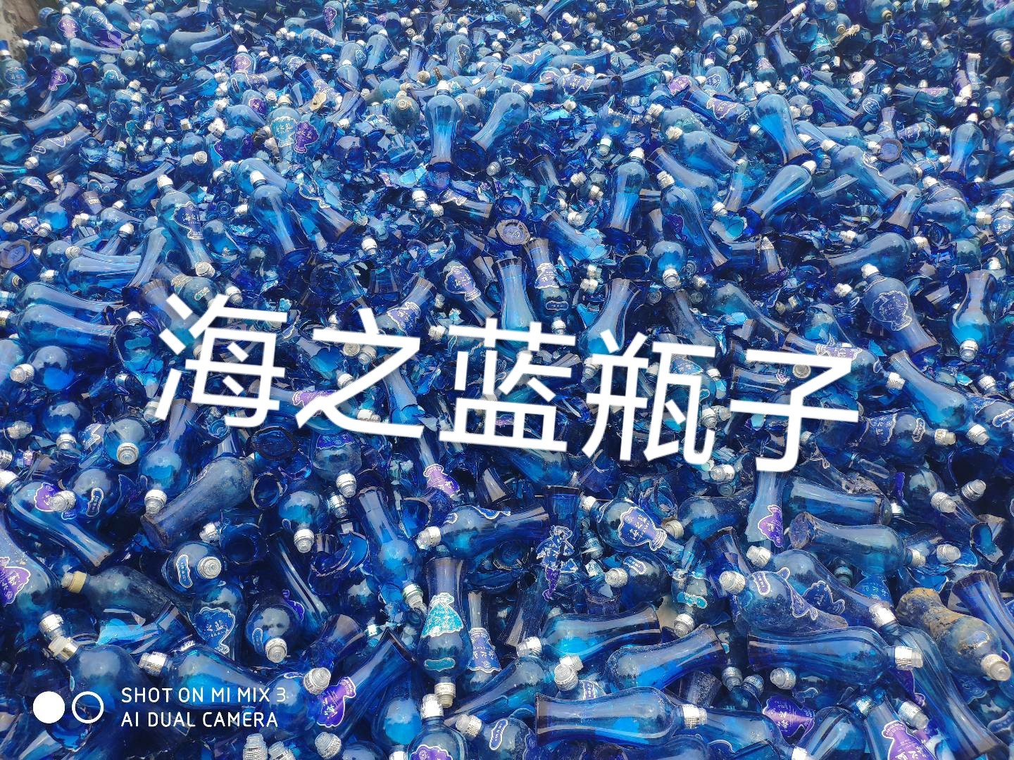 天宁区海之蓝瓶回收