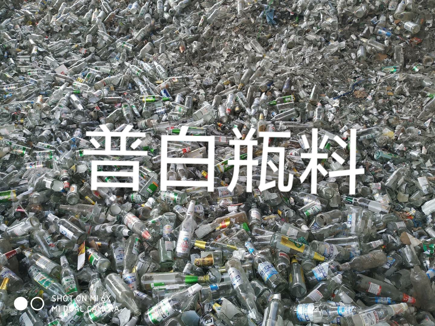 天宁区普白瓶料回收